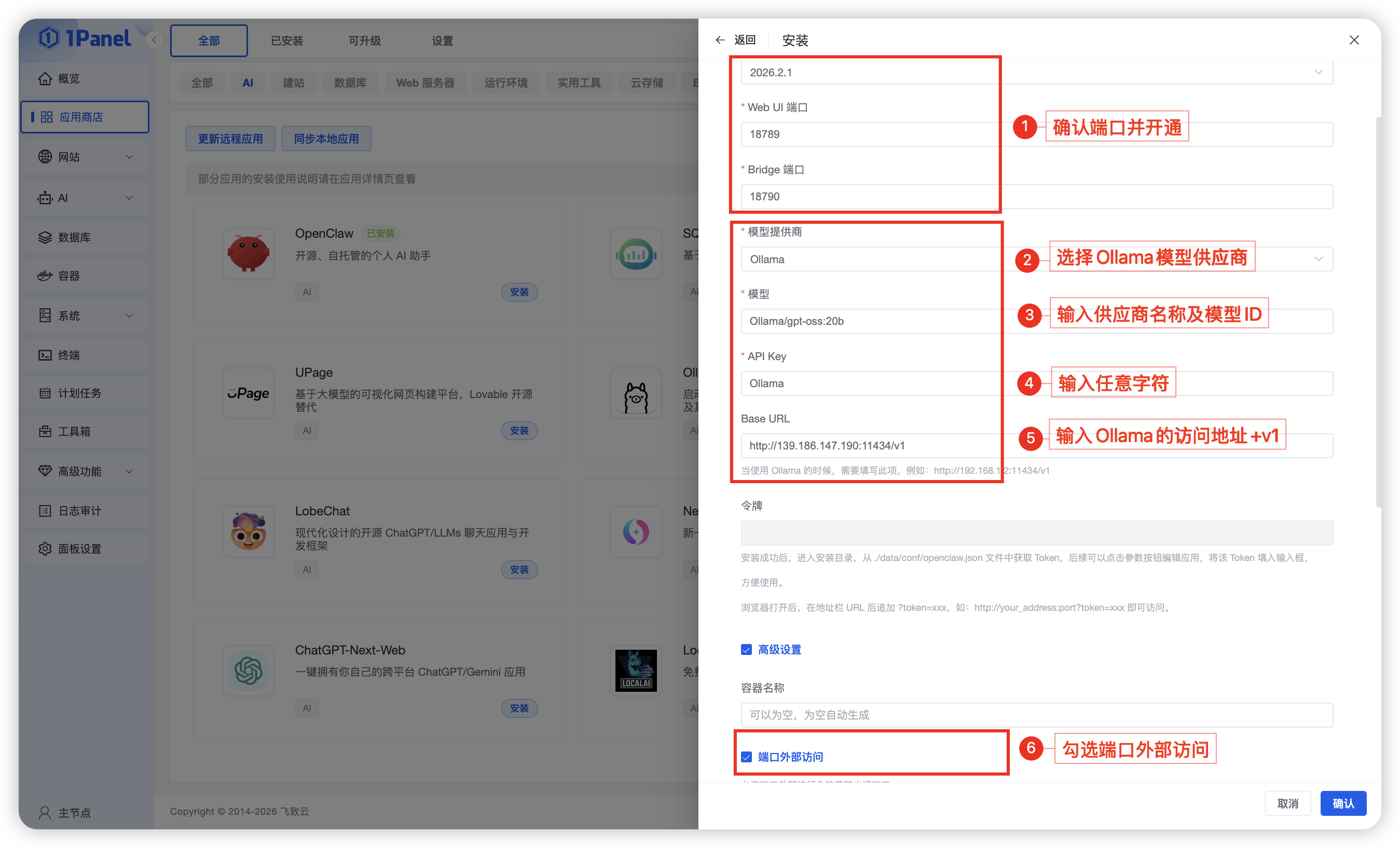 OpenClaw安装参数