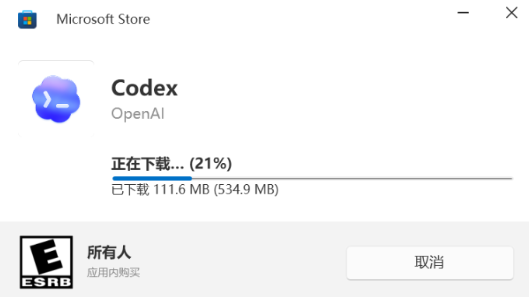 Codex安装2